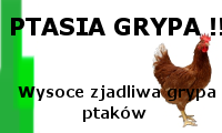 HPAI.png