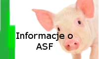 asf.png