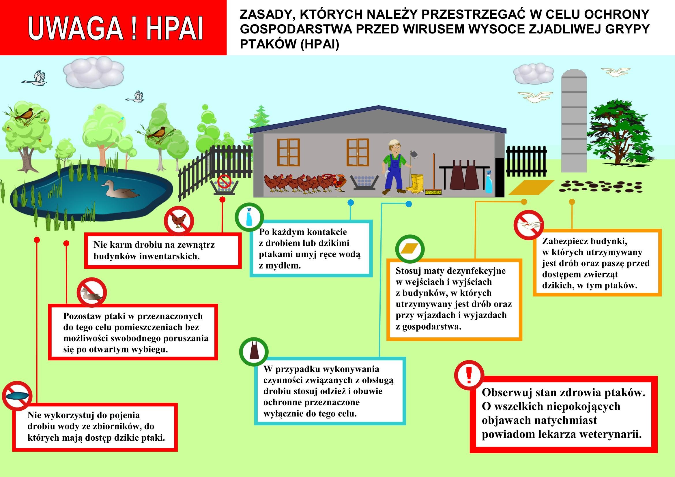 hpai ulotka
